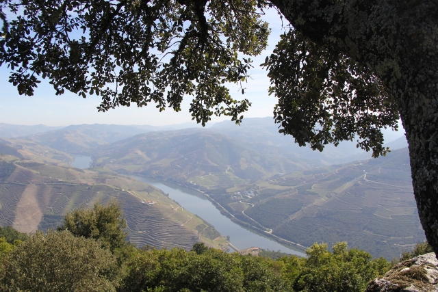 Los paisajes del Duero