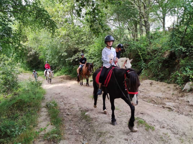 Cabalgando sobre un caballo por Montalegre