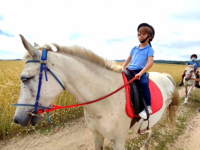 Niño disfrutando de los pbaños a caballo