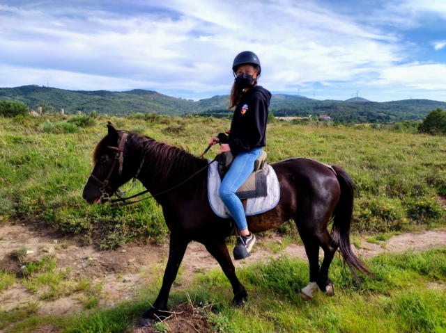 Un bello semental cabalgando