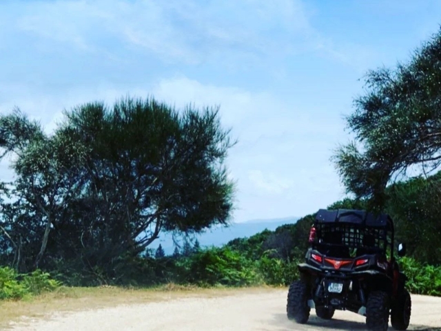 Ruta en buggy