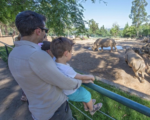 Visita en familia el parque zoológico de Santo Inácio