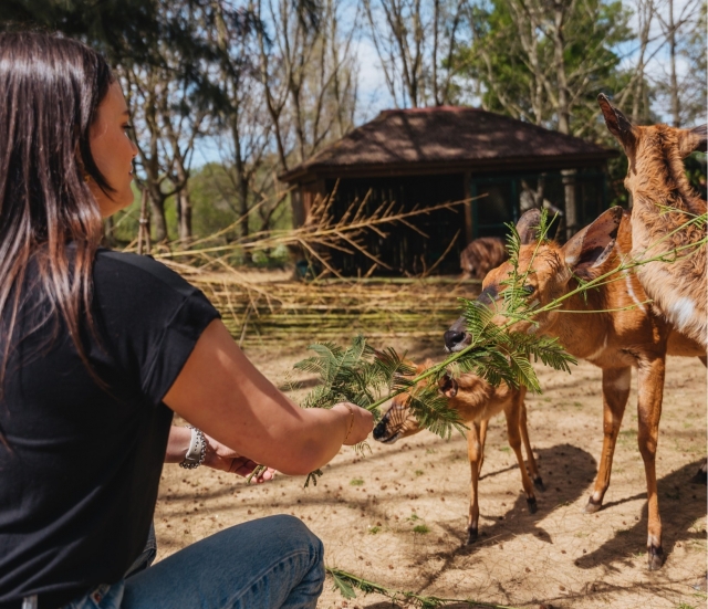 Alimenta a un gran número de especies en el parque