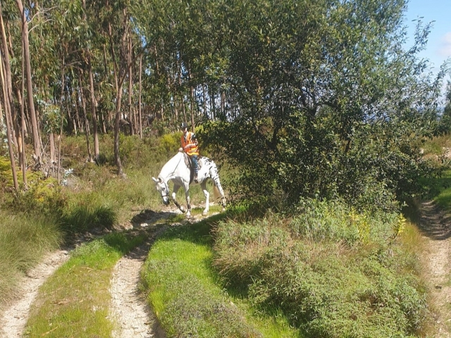 Cabalgamarra por caminos de Valongo