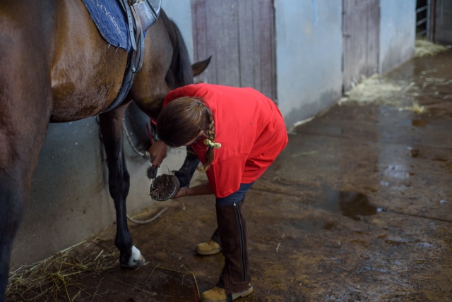 Limpiando los cascos del caballo