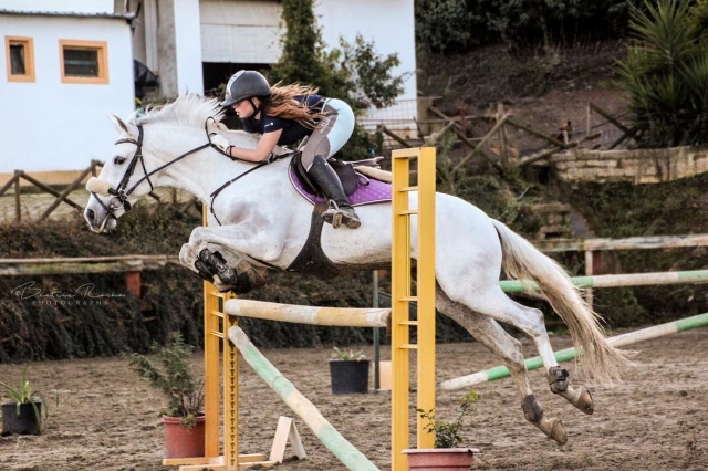 Concurso de salto en la hípica