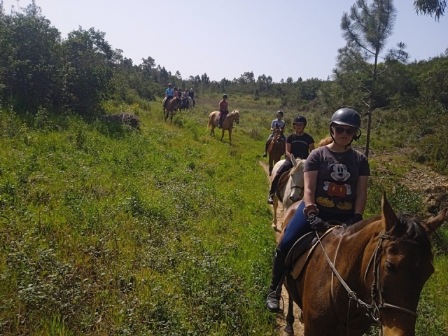 Divertido paseo a caballo en grupo
