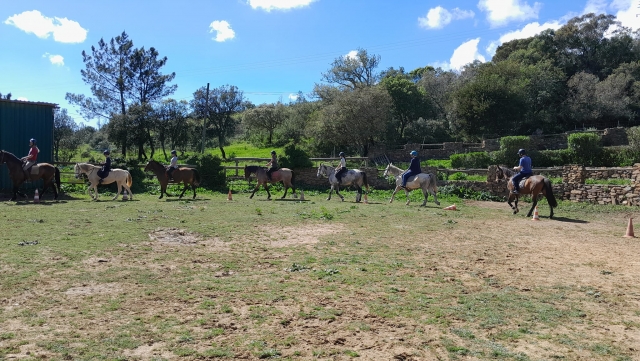 Grupo principianle subiendo a caballo