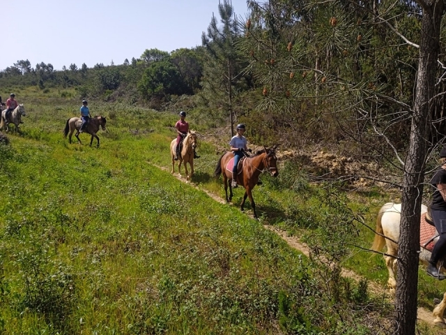 Ruta en grupo por el campo