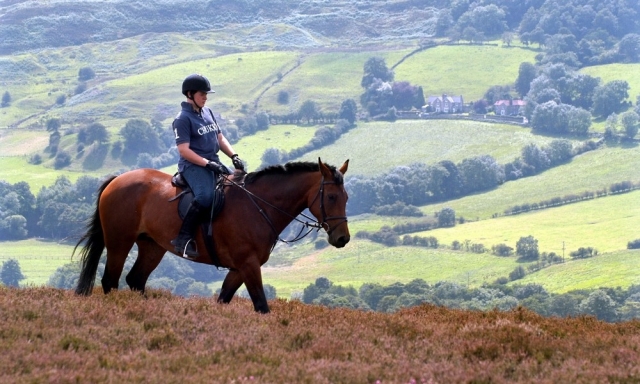 Cabalgamarra por senderos
