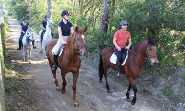 Cabalgamarra hacia la playa