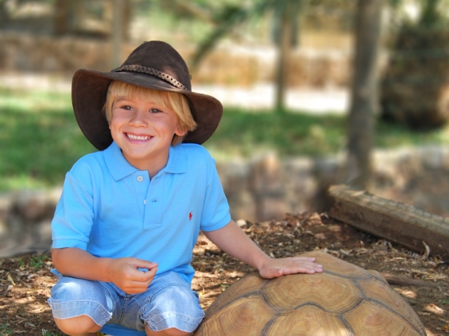 Niño con la tortuga grande