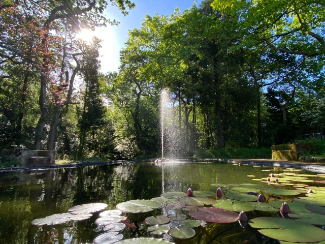 Fuenle del Parque da Pena