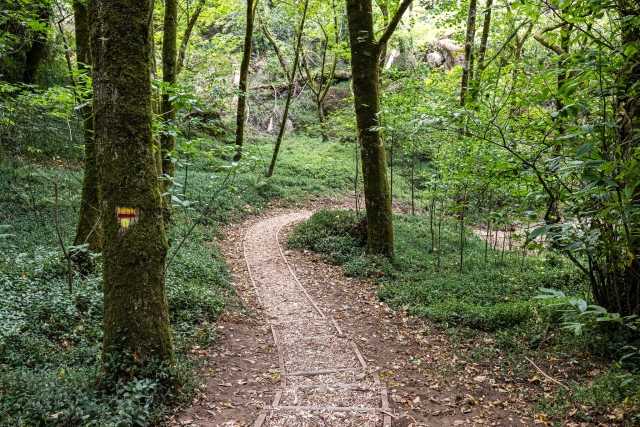 Senderos del parque