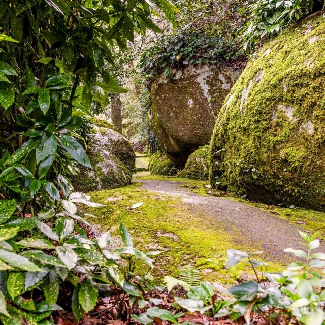 Parque de cuento