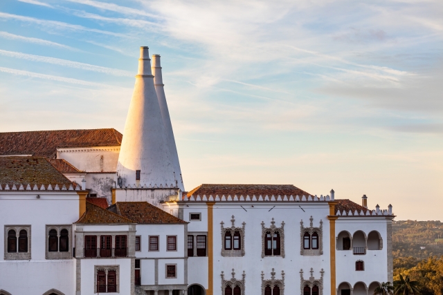 Conos característicos del palacio