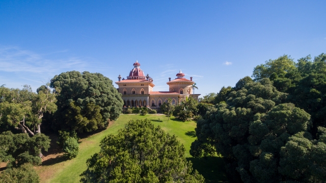 Vegetación que rodea el palacio