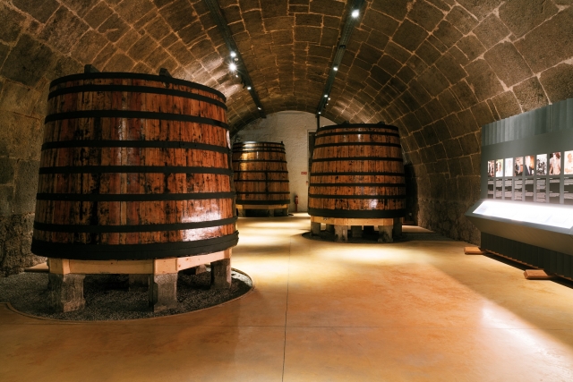 Bodega de vino