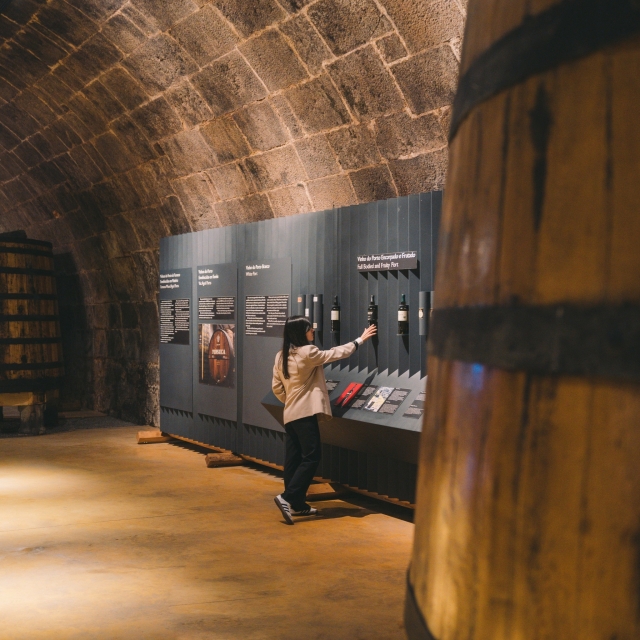 Chica descubriendo curiosidades de la bodega
