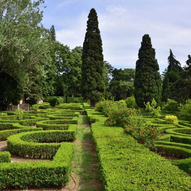 Jardines del Palacio