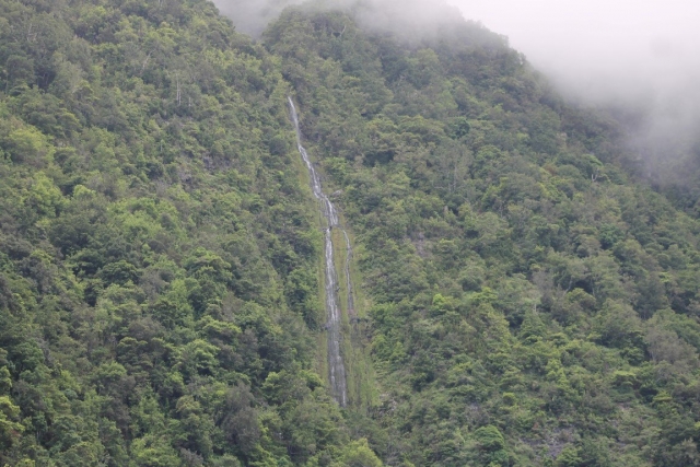 Bosque de Funchal