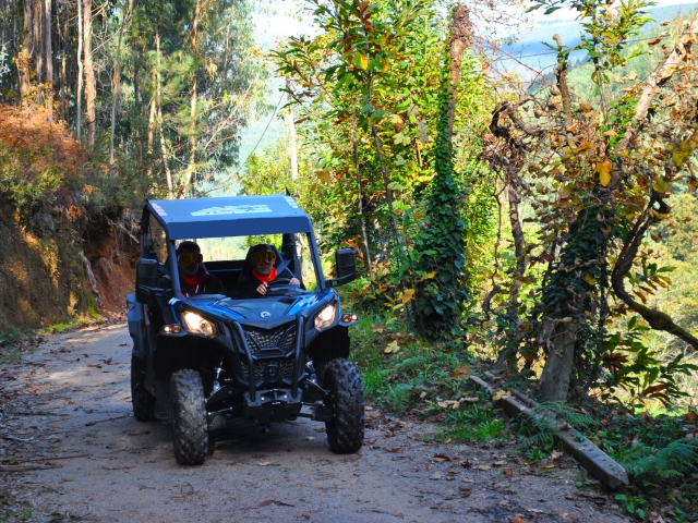 Rutas en buggy en Aveiro