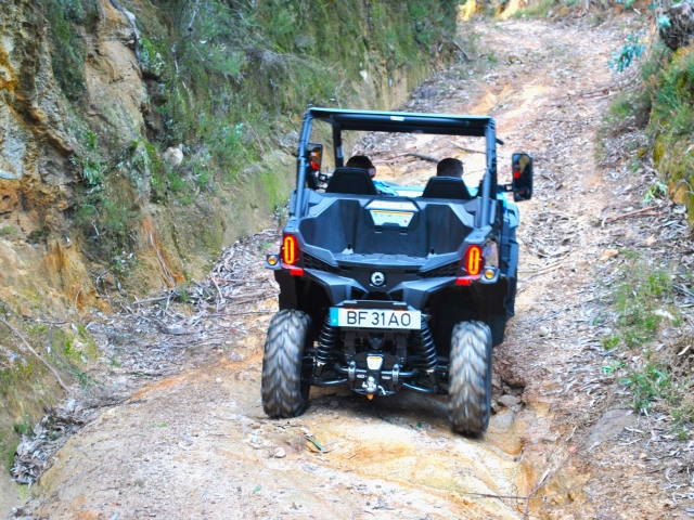 Descubre los senderos en buggy