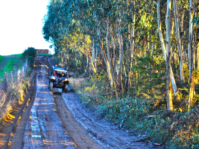 Disfruta de una ruta en buggy de 2 horas