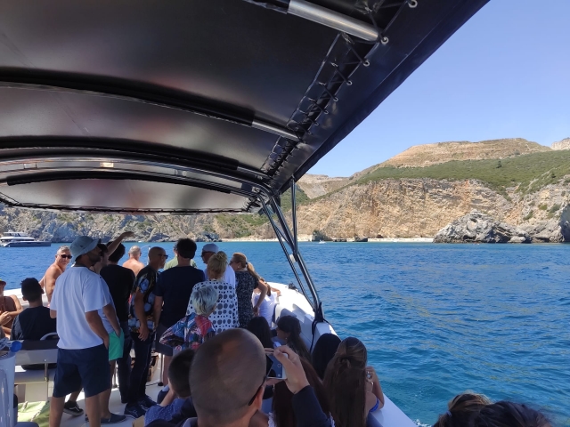 Ver delfines en Sado, Troia y Arrábida