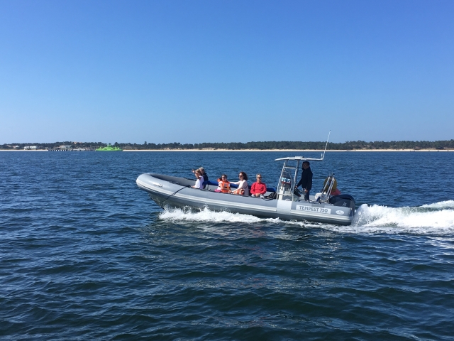Paseo en barco para ver delfines