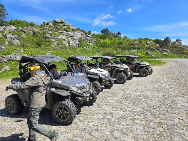 Flota de buggies