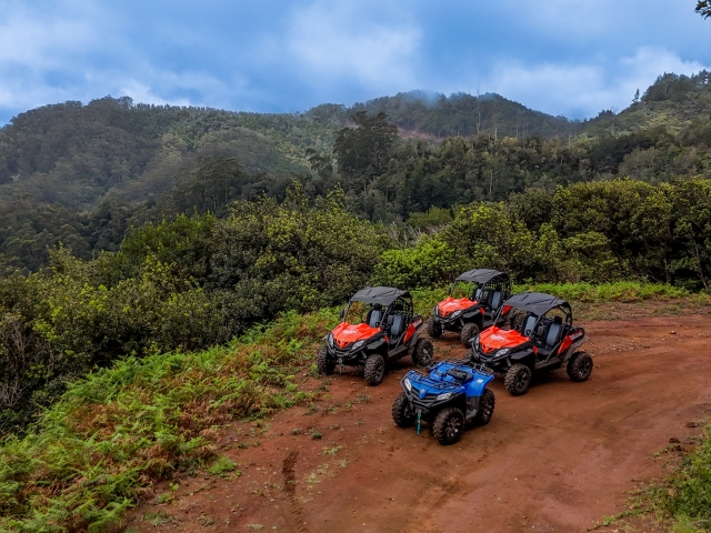  Buggies Fleet 