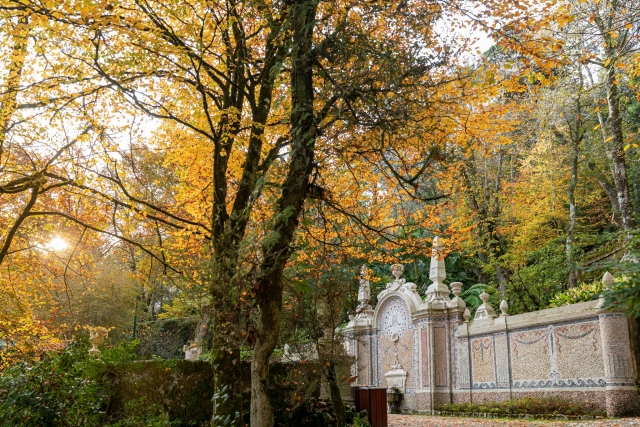  Paseo por los jardines 