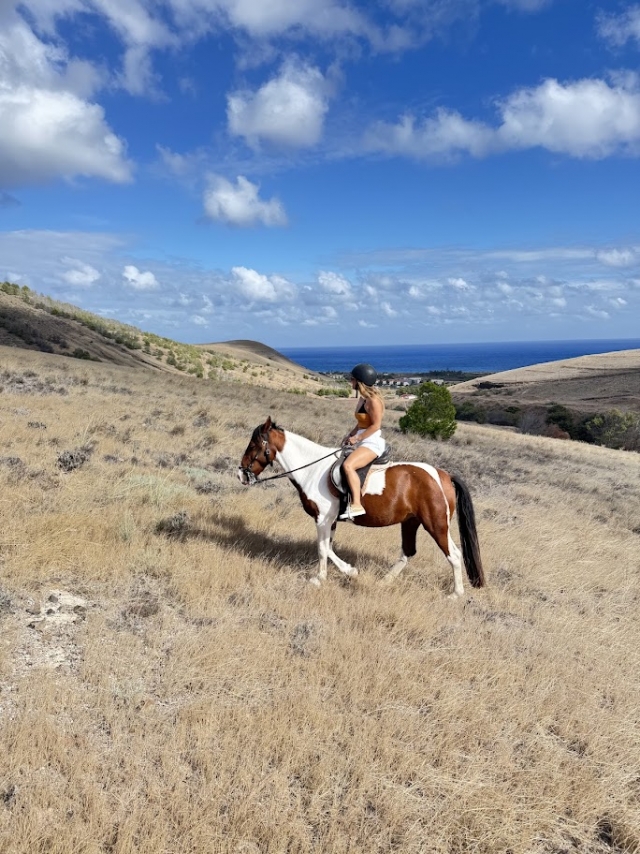  Disfruta de un paseo a caballo por la costa 