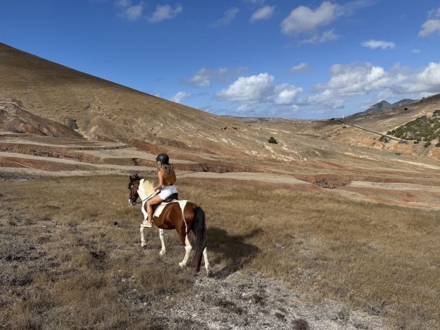  Disfruta de un paseo a caballo por Ponta da Beberia 