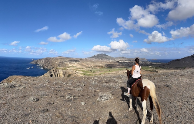 Descubre los paisajes de Madeira a caballo 