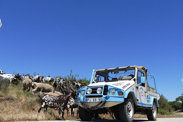 Tour en jeep 