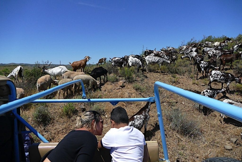  Jeep Safari en el Algarve 