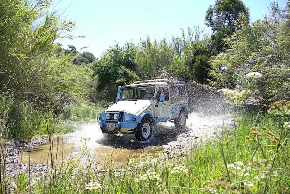  Nuestro jeep