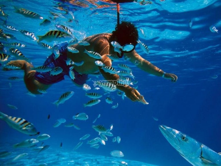 La Bufadora Tours, precios y reservas 2024