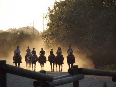 Cabalgamarra Experiencia Doñana 2h