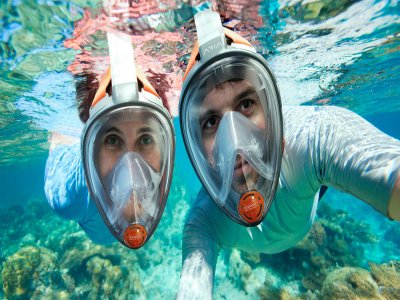 Tour Mangrove y Snorkel por la laguna Nichupte, 2h