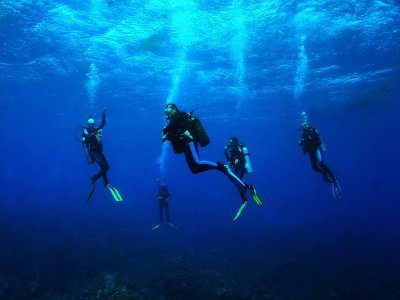 Corso di immersione Rescue Diver, da 3 a 4 giorni, Majahual