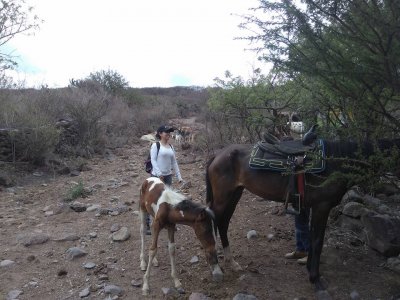 Recorrido cabalgata+caminata+tiro arco+acampada