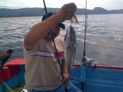 Pesca deportiva Guayabitos, Nayarit, niños 9h