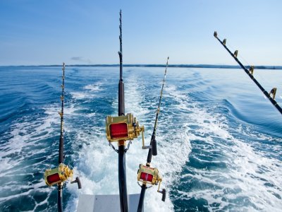 Pesca y Hospedaje en Puerto Aventuras Temp. Baja