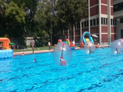 Noleggia 4 palline d'acqua per 3 ore