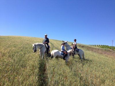 1 h. de cabalgamarra desde Palma del Río