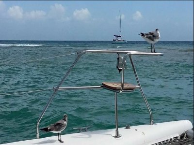 Tour in barca a vela per gruppi lungo la Riviera