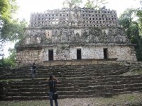 Enjoy Yaxchilán